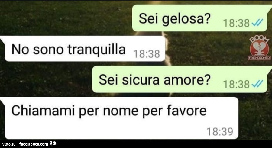 Vaccata
