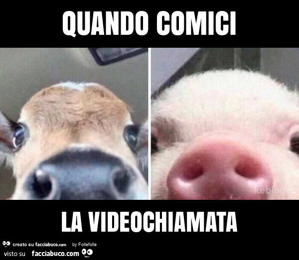 Quando comici la videochiamata