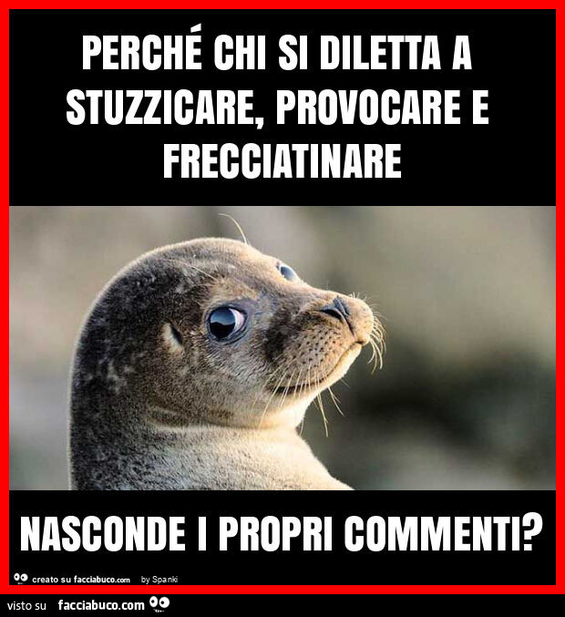 Perché chi si diletta a stuzzicare, provocare e frecciatinare nasconde i propri commenti?