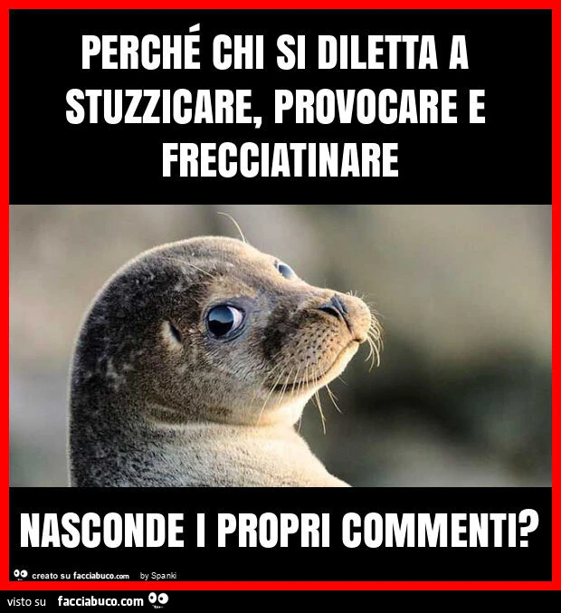 Perché chi si diletta a stuzzicare, provocare e frecciatinare nasconde i propri commenti?