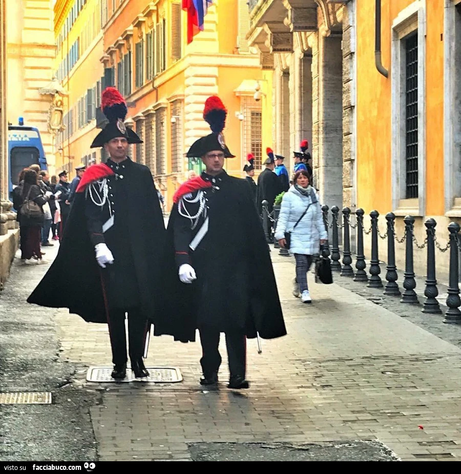 Vaccata