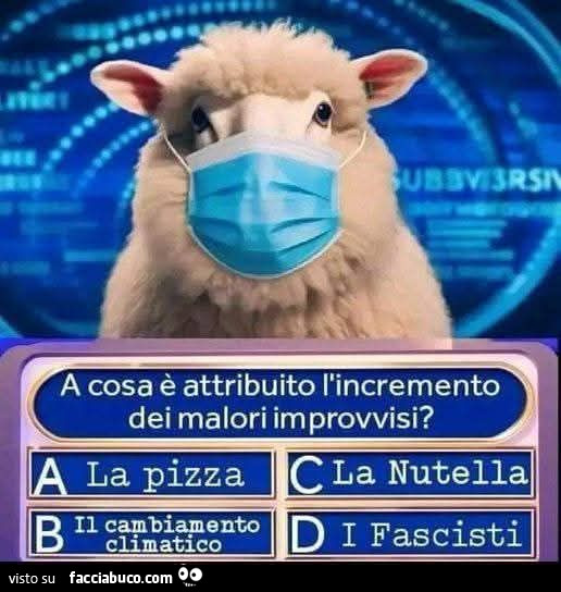 Vaccata