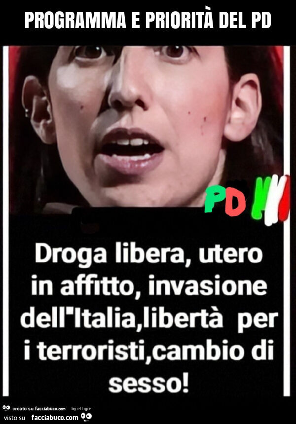 Programma e priorità del pd
