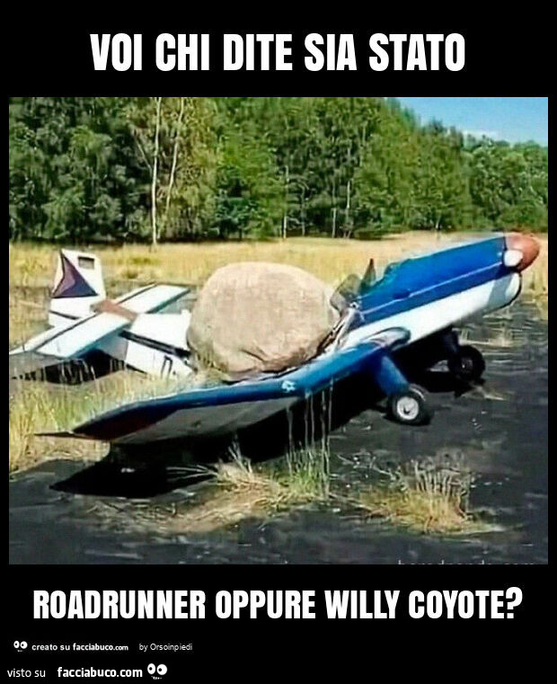 Voi chi dite sia stato roadrunner oppure willy coyote?