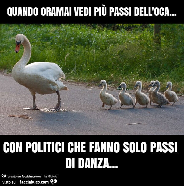 Quando oramai vedi più passi dell'oca… con politici che fanno solo passi di danza