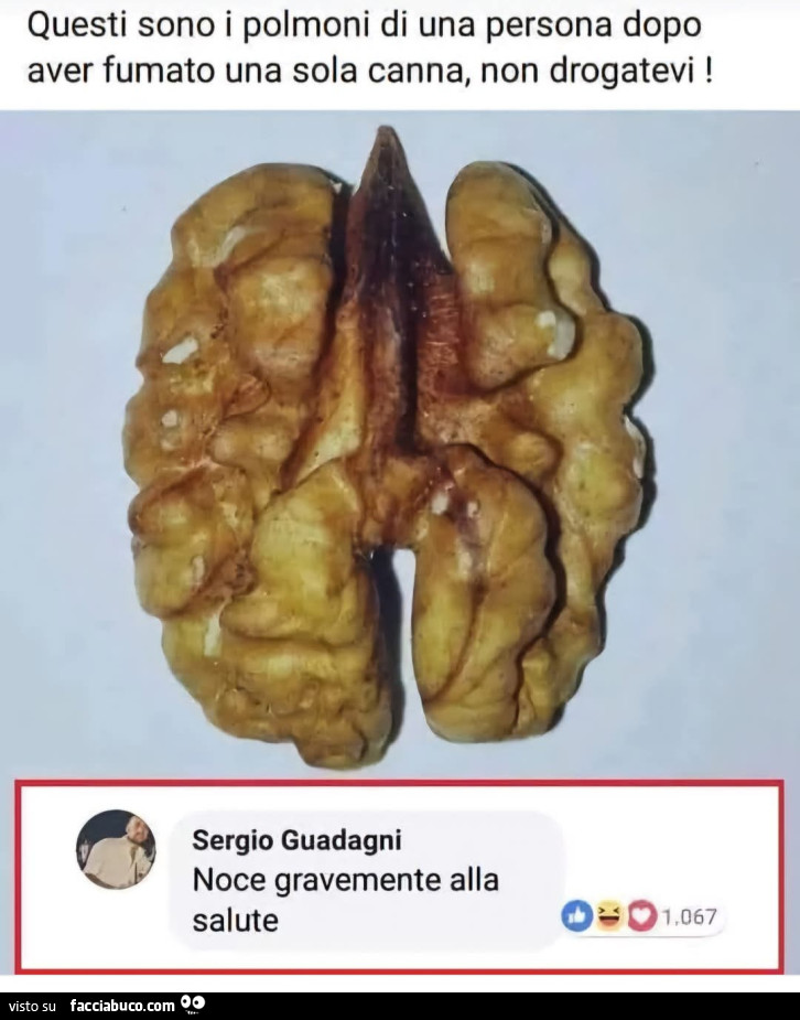 Questi sono i polmoni di una persona dopo aver fumato una sola canna non drogatevi noce gravemente alla salute commenti memorabili