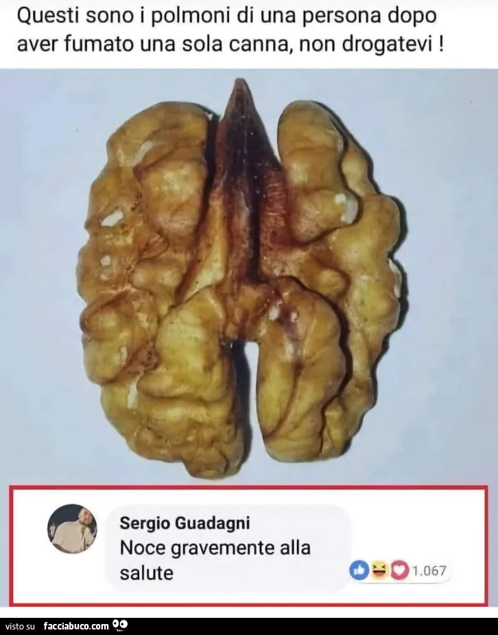 Questi sono i polmoni di una persona dopo aver fumato una sola canna non drogatevi noce gravemente alla salute commenti memorabili
