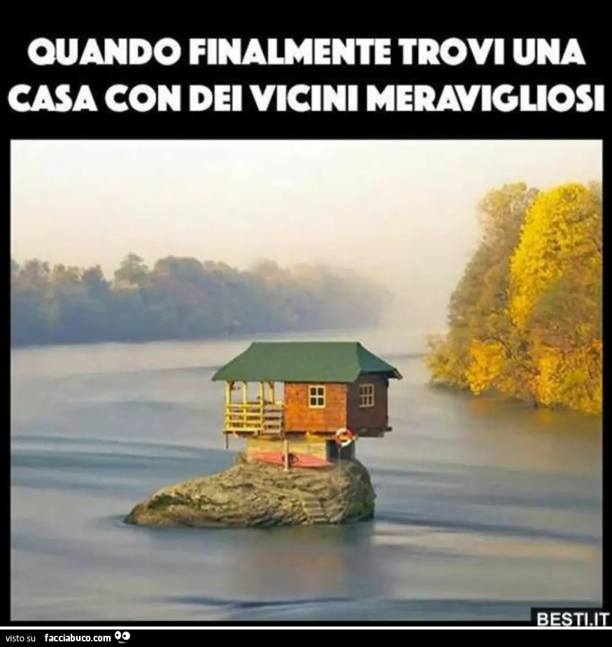 Vicini