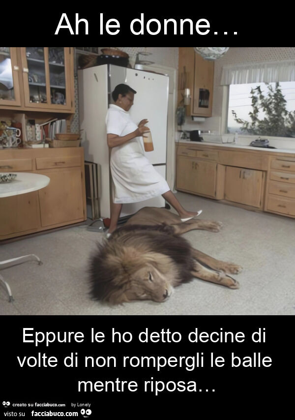 Ah le donne… eppure le ho detto decine di volte di non rompergli le balle mentre riposa…
