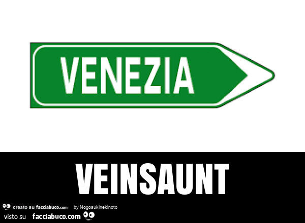 Veinsaunt