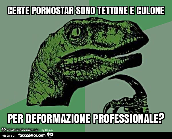 Certe pornostar sono tettone e culone per deformazione professionale?