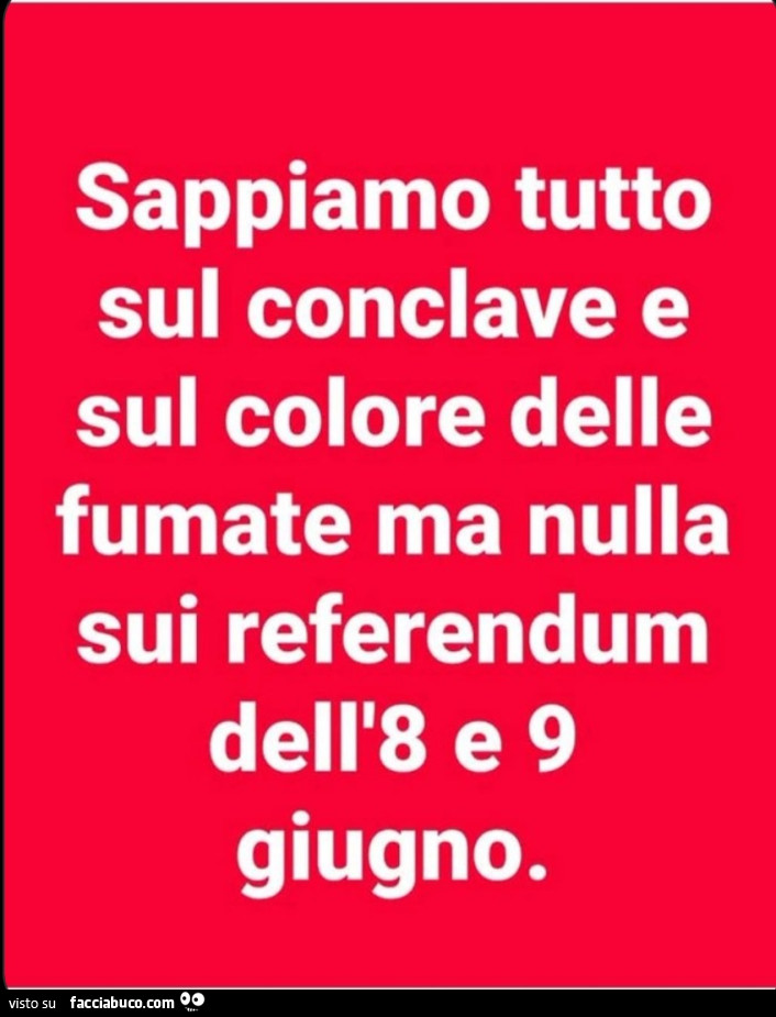 Sappiamo tutto sul conclave e sul colore delle fumate ma nulla sui referendum dell'8 e 9 giugno