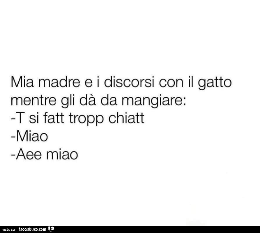 Mia madre e i discorsi con il gatto mentre gli dà da mangiare: t si fatt tropp chiatt. Miao. Aee miao