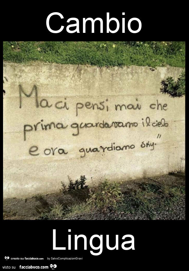 Cambio lingua