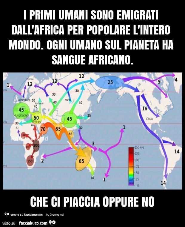 I primi umani sono emigrati dall'africa per popolare l'intero mondo. Ogni umano sul pianeta ha sangue africano. Che ci piaccia oppure no