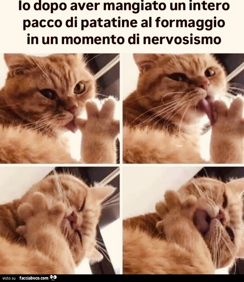 Vaccata