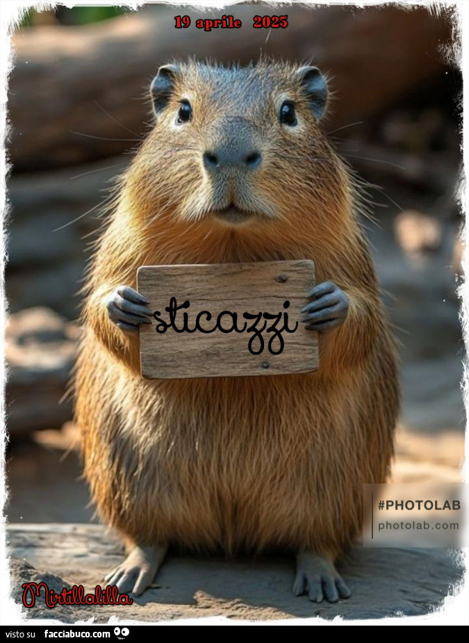Sticazzi