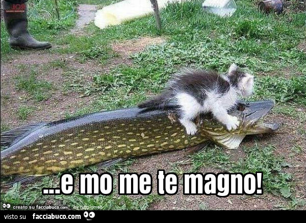 E mo me te magno