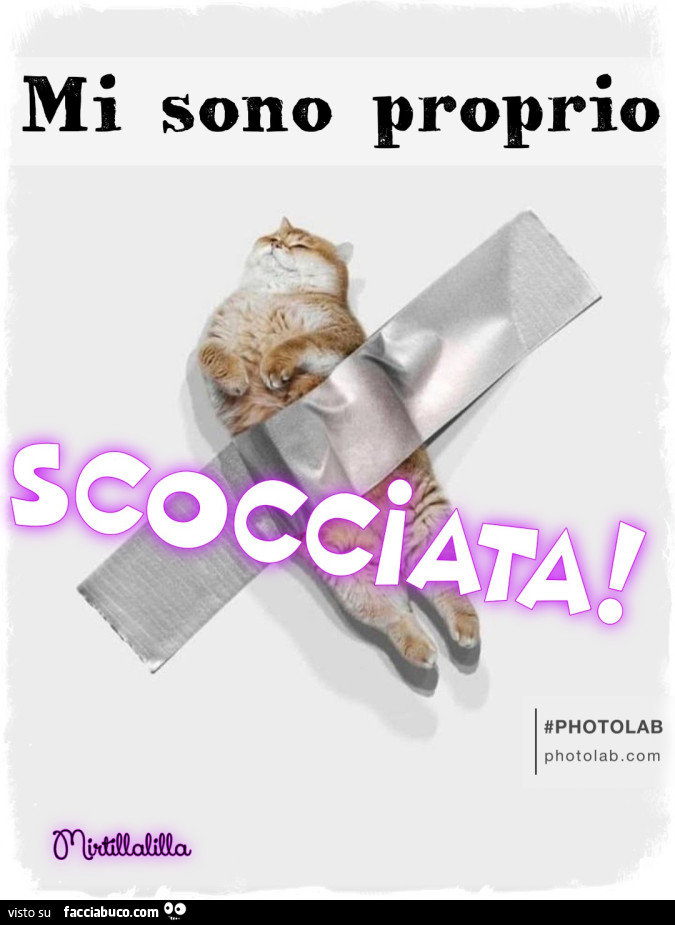 Mi sono proprio scocciata