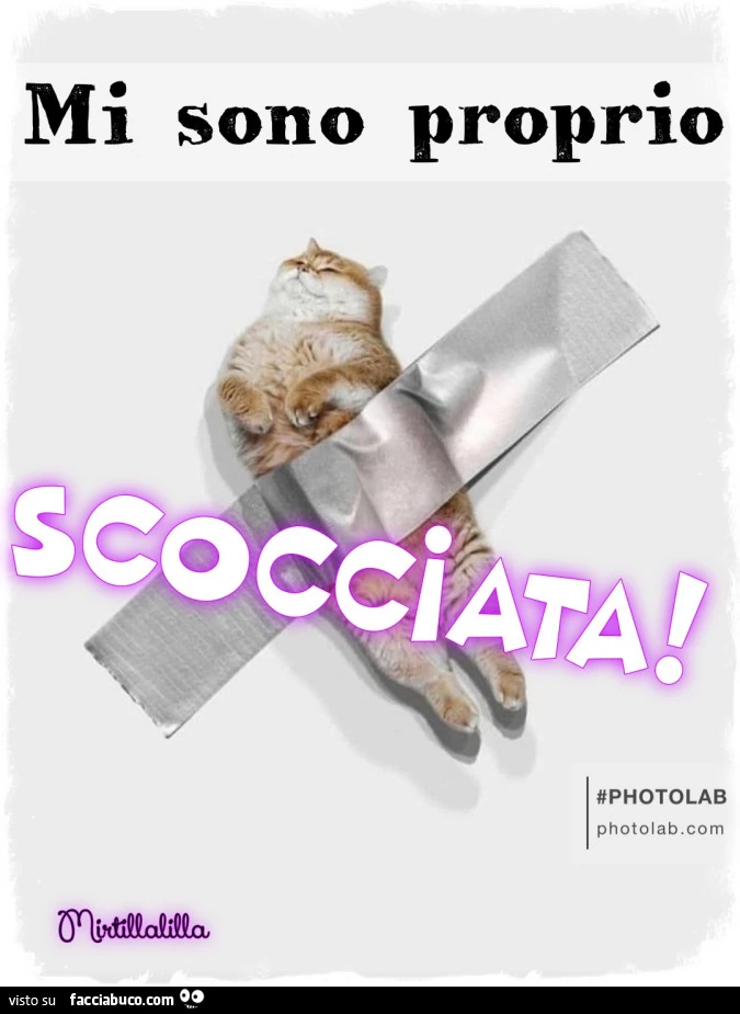 Mi sono proprio scocciata