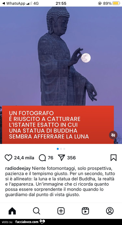 Vaccata