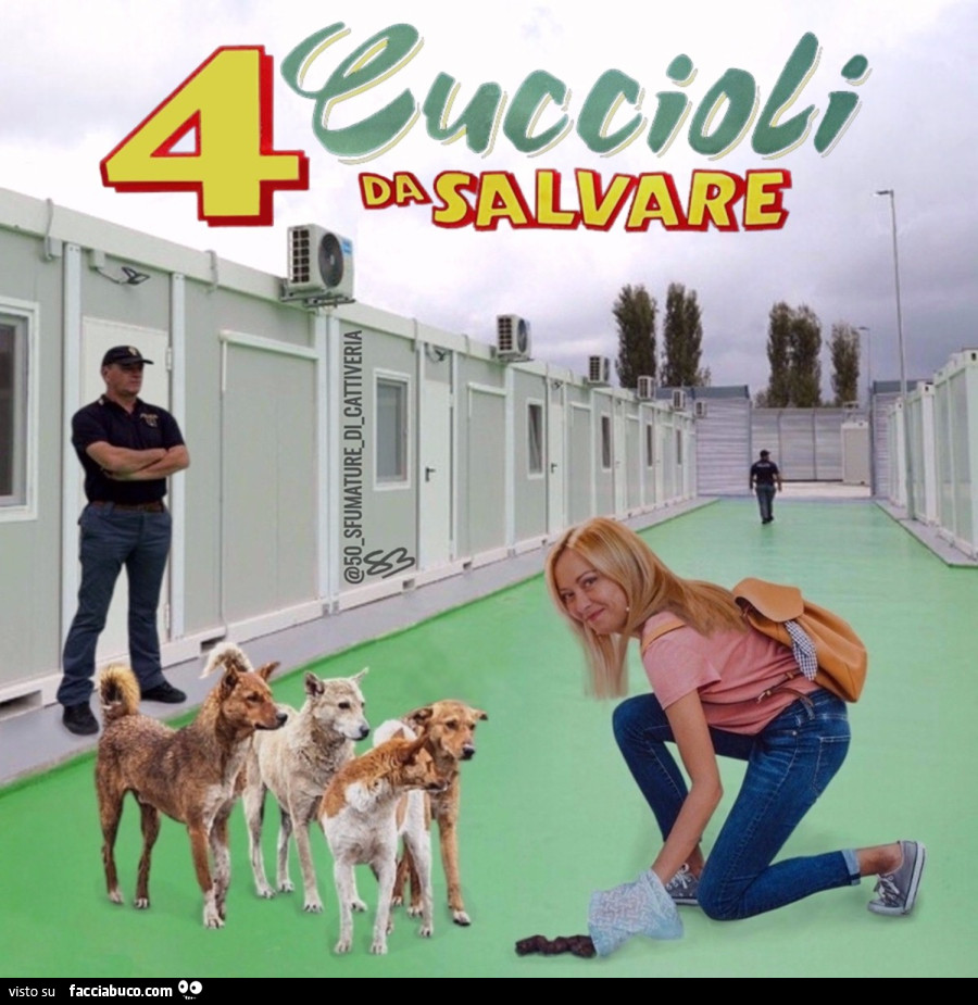 4 cuccioli da salvare