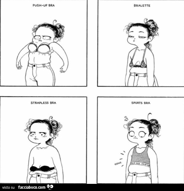 Push-up Bra. Bralette. Strapless Bra. Sports Bra