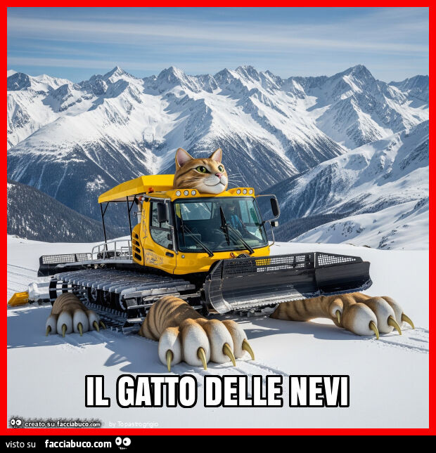 Il gatto delle nevi