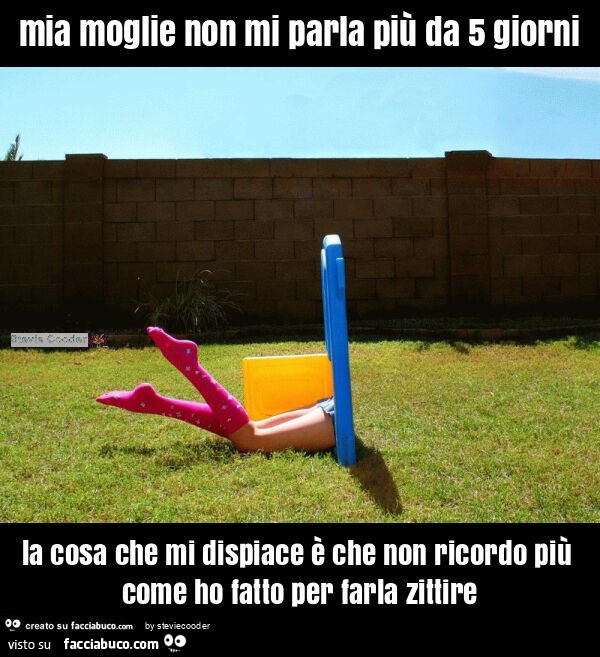 Mia moglie non mi parla più da 5 giorni la cosa che mi dispiace è che non ricordo più come ho fatto per farla zittire