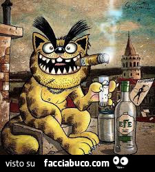 Vaccata