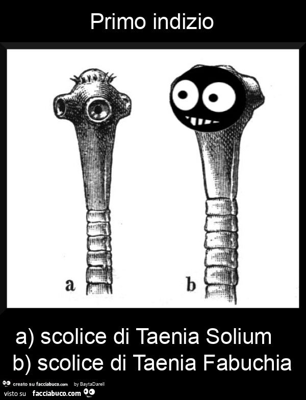 Primo indizio a) scolice di taenia solium b) scolice di taenia fabuchia