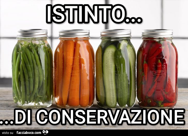 Istinto di conservazione