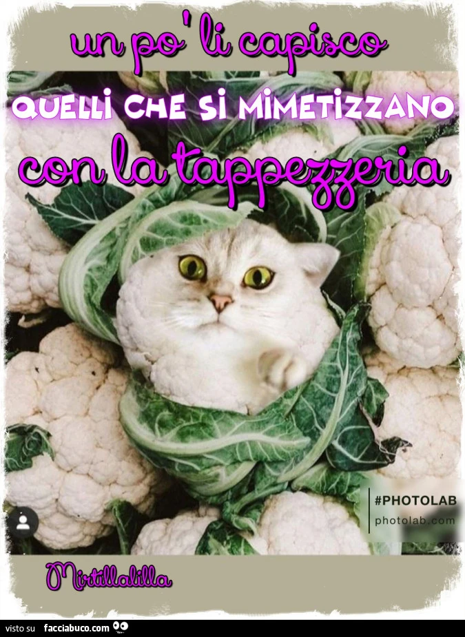 Mimetizzarsi con la tappezzeria