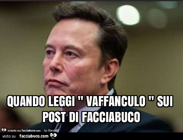 Quando leggi " vaffanculo " sui post di facciabuco