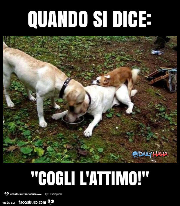 Quando si dice: "cogli l'attimo! "