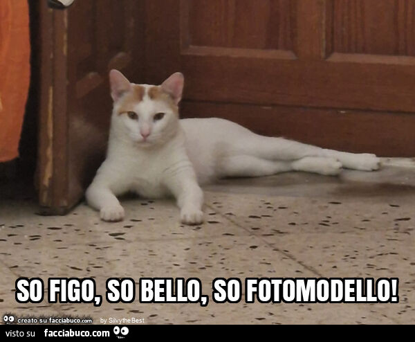 So figo, so bello, so fotomodello