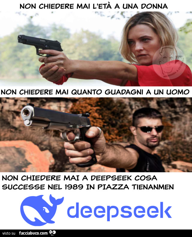 Non chiedere a deepseek