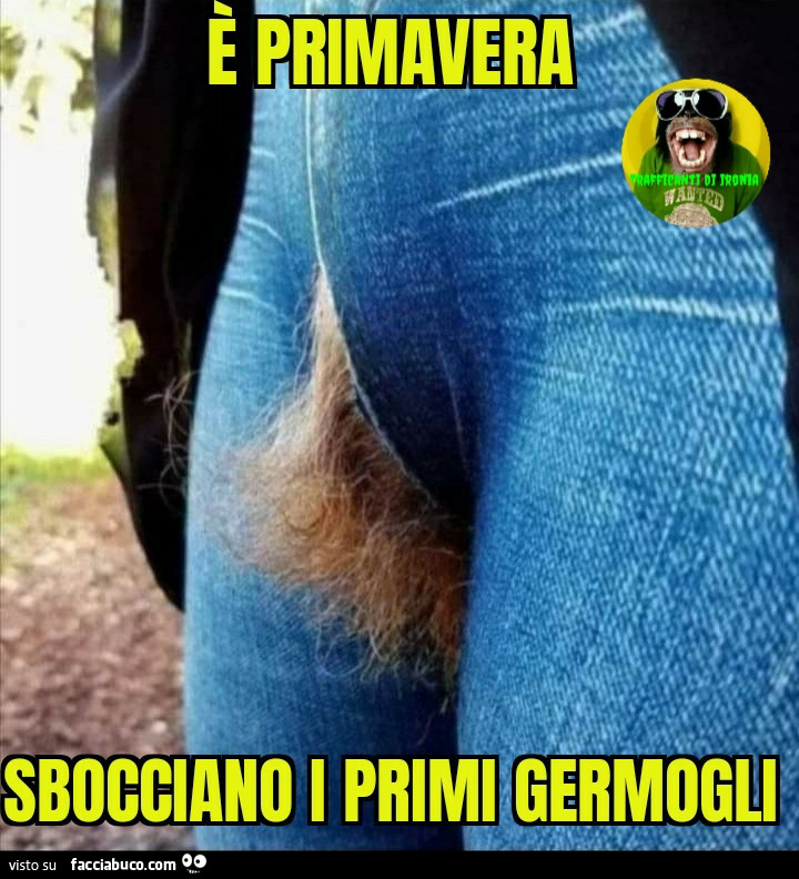 È primavera sbocciano i primi germogli