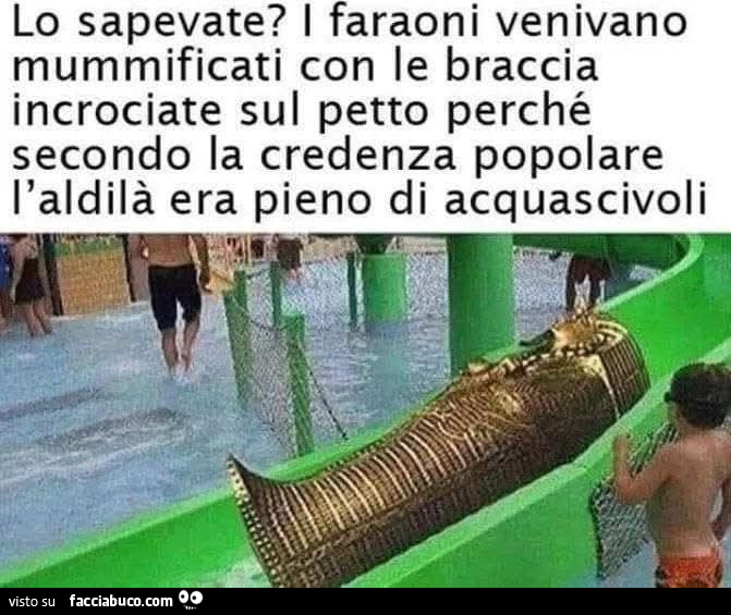 Vaccata