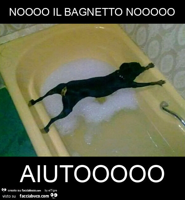 Noooo il bagnetto nooooo aiutooooo