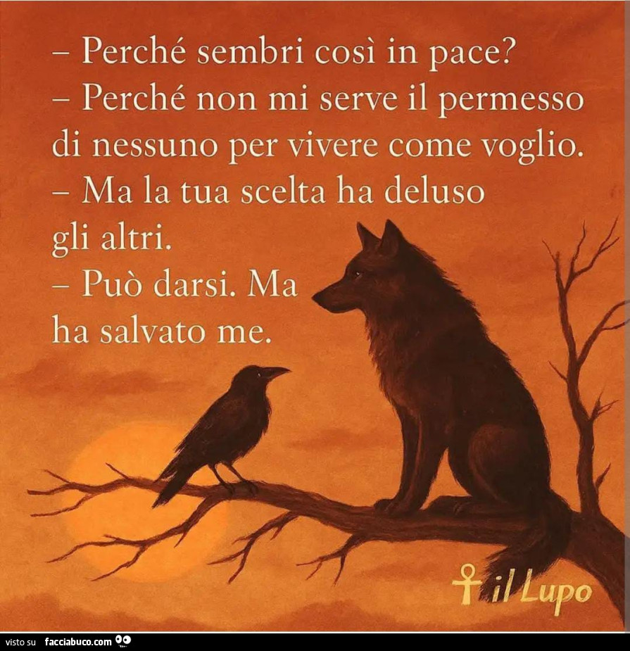 Perché sembri così in pace? Perché non mi serve il permesso di nessuno per vivere come voglio. Ma la tua scelta ha deluso gli altri. Può darsi. Ma ha salvato me