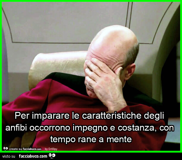 Per imparare le caratteristiche degli anfibi occorrono impegno e costanza, con tempo rane a mente