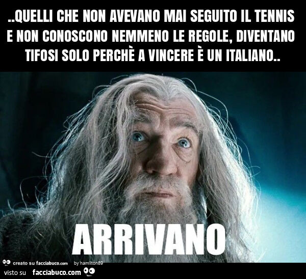 Quelli che non avevano mai seguito il tennis e non conoscono nemmeno le regole, diventano tifosi solo perchè a vincere è un italiano