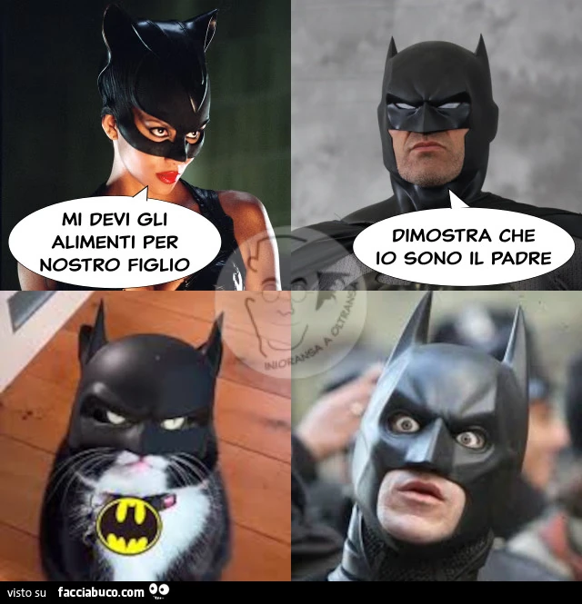 Mi devi gli alimenti