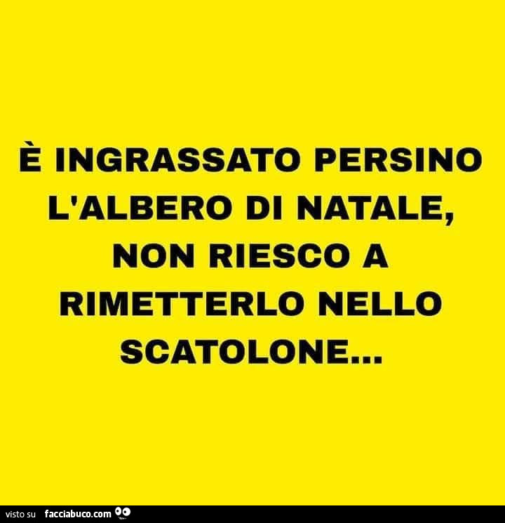 È ingrassato persino l'albero di natale, non riesco a rimetterlo nello scatolone