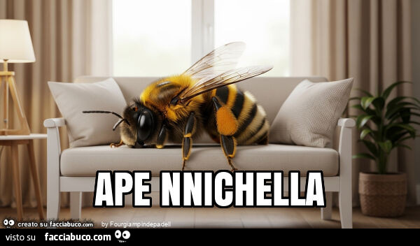 Vaccata