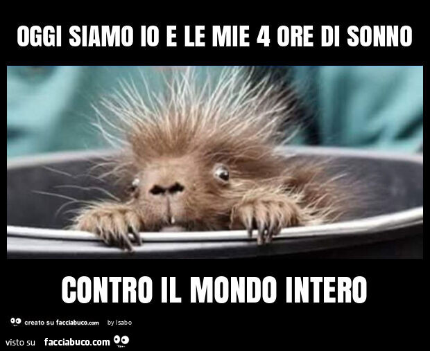 Oggi siamo io e le mie 4 ore di sonno contro il mondo intero