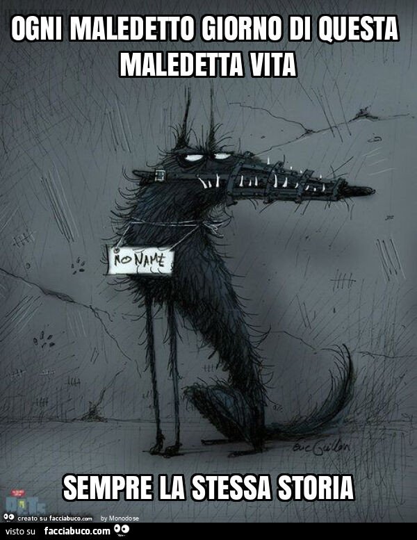 Ogni maledetto giorno di questa maledetta vita sempre la stessa storia