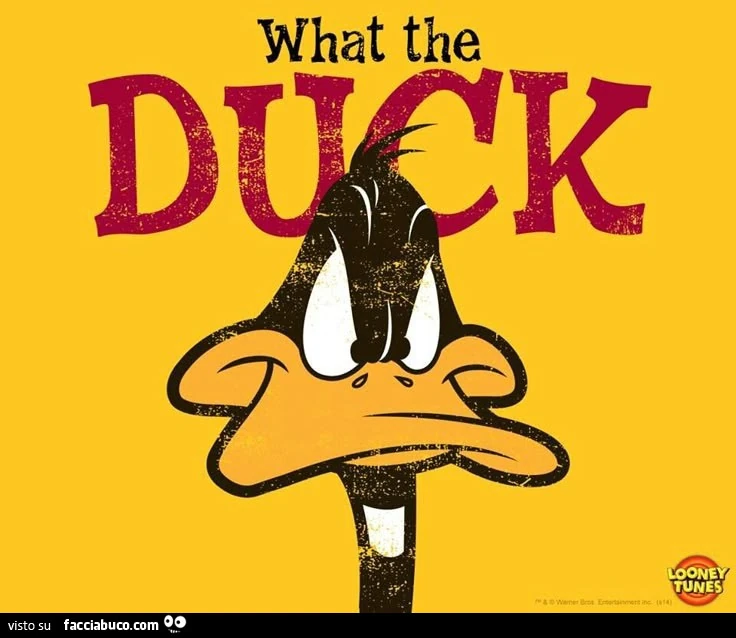 What the Duck