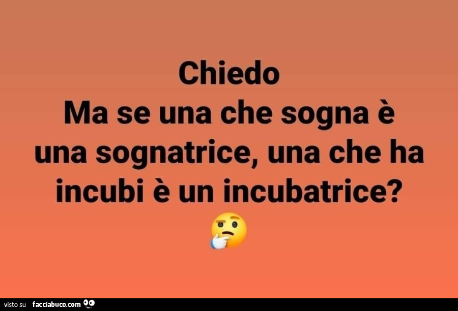 Chiedo ma se una che sogna è una sognatrice, una che ha incubi è un incubatrice?